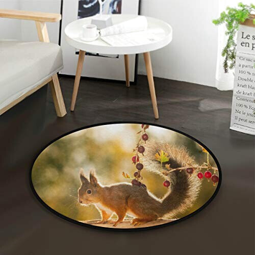 Tapis Écureuil multicolore rond 92x92 cm