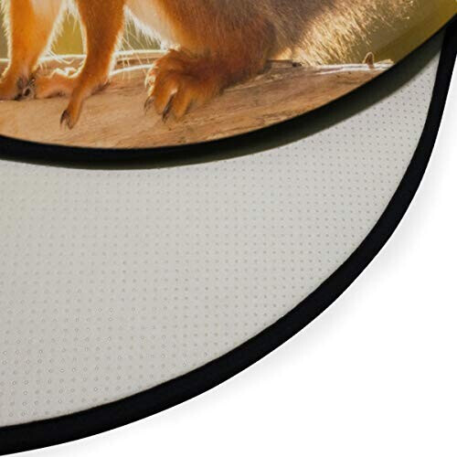 Tapis Écureuil multicolore rond 92x92 cm variant 1 