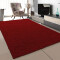 Tapis rouge 120x170 cm - miniature