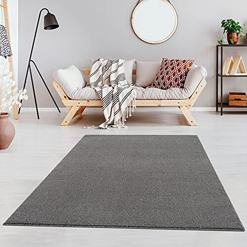 Tapis gris clair 80x150 cm