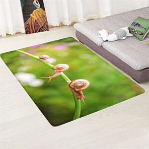 Tapis Escargot marron 40x120 cm