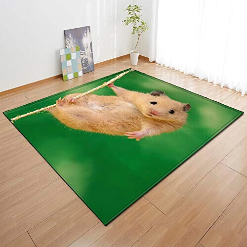 Tapis Hamster 40x60 cm