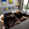 Tapis Panthère 180x280 cm - miniature variant 1