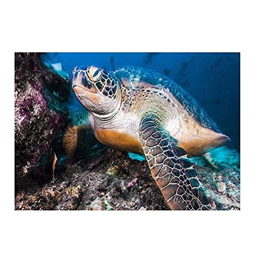 Tapis Tortue noire 40x60 cm variant 0 