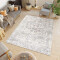 Tapis beige gris clair 200x300 cm - miniature