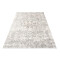 Tapis beige gris clair 200x300 cm - miniature variant 6