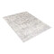 Tapis beige gris clair 200x300 cm - miniature variant 7